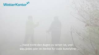 Herbstzeit ist Nebelzeit [upl. by Belford]