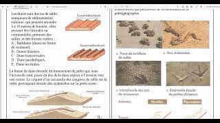 10Fentes de dessication et stratification croisée [upl. by Eelarbed]