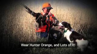 Pheasant Hunting Safety [upl. by Niltyak]