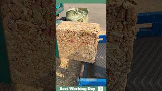 Best working day 1550 Corn cob briquetting process [upl. by Donal206]