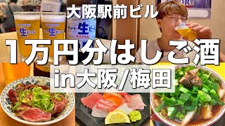 【大阪梅田】大阪駅前ビルで1万円分はしご酒！激安酒場で何軒はしご酒出来る？【あかマル、大富豪、まじめや、銀座屋、庶民、麺屋75Hz】 [upl. by Zelig74]