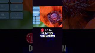 LG C4 New Dolby Vision Filmaker mode G4 and C4 LGC4 LGG4 DolbyvisionLG [upl. by Goggin]