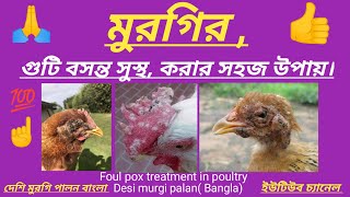 মুরগির গুটি বসন্ত সুস্থ করার সহজ উপায় । Foul pox treatment in poultry [upl. by Phox]