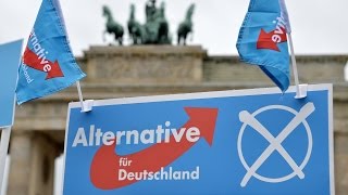 Doku in HD Die AfD  Von Biedermännern und Brandstiftern  Ein Jahr im Leben der Partei [upl. by Otrebile914]