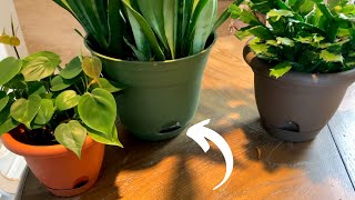 Self Watering Pots Explained  Easy Plant Care [upl. by Sibley]