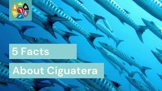 5 Facts About Ciguatera [upl. by Liag]