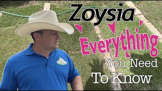 Everything You Need To Know About Zoysia Grass [upl. by Erb]