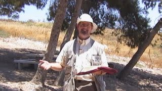 Tel Jezreel  Israel Tour 2000 Part 14 [upl. by Gnot]