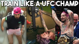 Suga Sean Fight Camp Vlog  6 WEEKS OUT VS MARLON CHITO VERA UFC 299 [upl. by Hardin81]