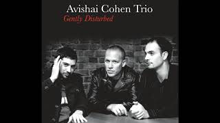 Avishai Cohen  Variations In G Minor [upl. by Natsyrt]