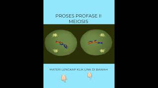 PROSES SELAMA PROFASE II PEMBELAHAN MEIOSIS ipa edukasi biologi faktaunik fakta ipas [upl. by Yecnuahc]