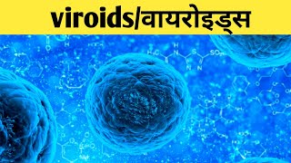 viroids in hindi viroids disease structure of viroidsviroids potato disease [upl. by Mccallion]