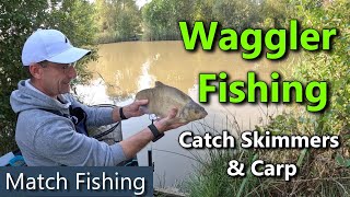 Waggler Fishing  Autumn Fishing for Silvers and Carp [upl. by Neffets]