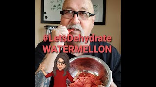 LetsDehydrate Watermelon Jerky candy [upl. by Delmer]