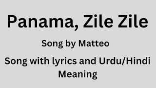 Zile Zile TikTok remix song with lyrics and UrduHindi meaning [upl. by Ahtel]