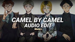 Camel by camel  Sandy Marton Edit Audio Version 2 [upl. by Yorle]