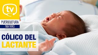 Cólico del lactante ¡cómo hacer que el niño deje de llorar [upl. by Swanhilda323]