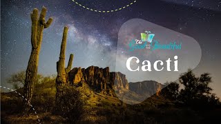 Cacti  Fun Facts About Cacti  Botany  The Good and the Beautiful [upl. by Kcirddahc]