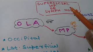 FOR MBBS LYMPH NODES OF NECK  MNEMONICS [upl. by Hardden554]