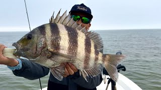 These DOCKS Were Loaded With Fish Non Stop ACTION [upl. by Danni]