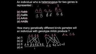 What is the difference between homozygous and heterozygous [upl. by Wulfe276]