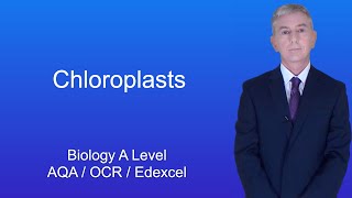 A Level Biology Revision quotChloroplastsquot [upl. by Paulo]