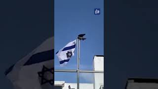 Crow and cat take down Israeli Occupation flag [upl. by Krilov82]