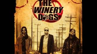 The Winery Dogs  You Saved Me [upl. by Ahsirahc819]