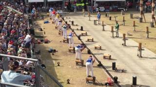 Sydney show 375mm underhand world championship final 2017  woodchopping [upl. by Menard344]