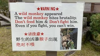 The Ironic Anxiety of Badly Translated Safety Warnings [upl. by Hctud891]