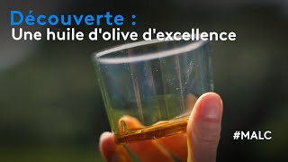 Découverte  une huile dolive dexcellence [upl. by Cozza]