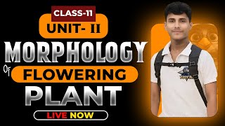 MORPHOLOGY OF FLOWERING PLANTS CLASS 11  NCERT DEEP LINES  COMPLETE NCERT FOR NEET 2025 [upl. by Grand]