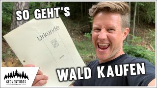 Alle Zahlen alle Fakten  So kaufst du deinen eigenen Wald [upl. by Yetti]