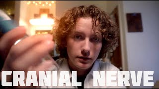 I Give You A Cranial Nerve Exam in my Dorm Room ASMR [upl. by Luhar949]