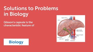 Answer to Question  Glissons capsule is the characteristic feature of [upl. by Becka939]