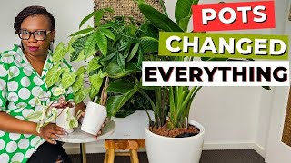 LECHUZA Planters change EVERYTHING Best selfwatering pots EVER [upl. by Rettuc]