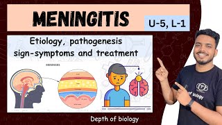 meningitis pathophysiology  meningitis nursing  meningitis notes  meningitis depth of biology [upl. by Arrim]