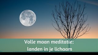 Volle maan meditatie november 2023 landen in je lichaam [upl. by Atekahs]