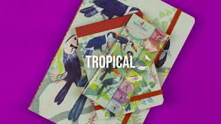 Santoro London  Tropical Collection [upl. by Rebecka199]