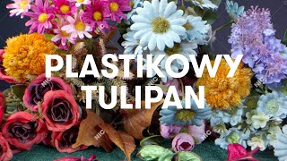 Sokół  Plastikowy tulipan Official Audio [upl. by Ahsienar818]