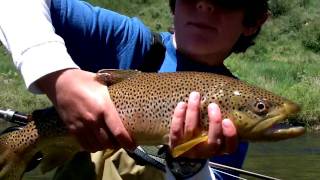 Steamboat Springs  Yampa River 2010 [upl. by Bunnie]