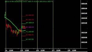 Floor Pivots Simulation in TradeStation [upl. by Danit706]