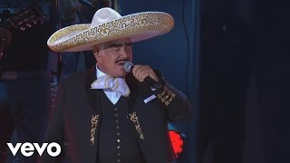 Vicente Fernández  Hermoso Cariño En VivoUn Azteca en el AztecaVersión Editada [upl. by Haelat374]