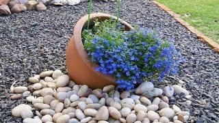 50 Cheap Garden with Stone Designs Stone Garden Ideas Diy [upl. by Llennoj]