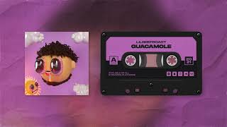 Lilbeefroast  Guacamole Official Music Visualizer Prod Oakerdidit [upl. by Varini]