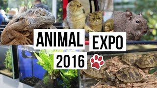 VLOG│ANIMAL EXPO 2016 [upl. by Augusto]