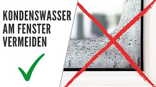 Kondenswasser am Fenster vermeiden TSTRIPE Fensterheizung verhindert Kondensatbildung [upl. by Silber856]