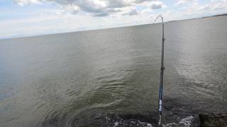 Mangrove Snapper Catch and Cook  Texas Jetty Fishing [upl. by Currier]