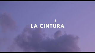 ラテンポップの和訳で楽しくスペイン語学習：リズムに乗って言葉を覚えよう La Cintura [upl. by Meisel]