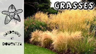 Grasses For Garden Use [upl. by Uzzial292]